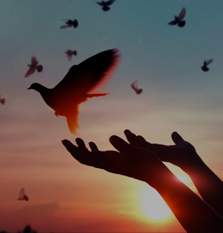 ثقافة الشركة